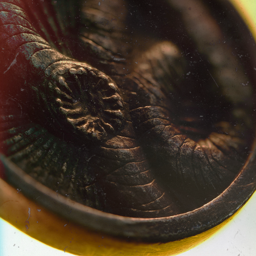 Dune deluxe teaser image